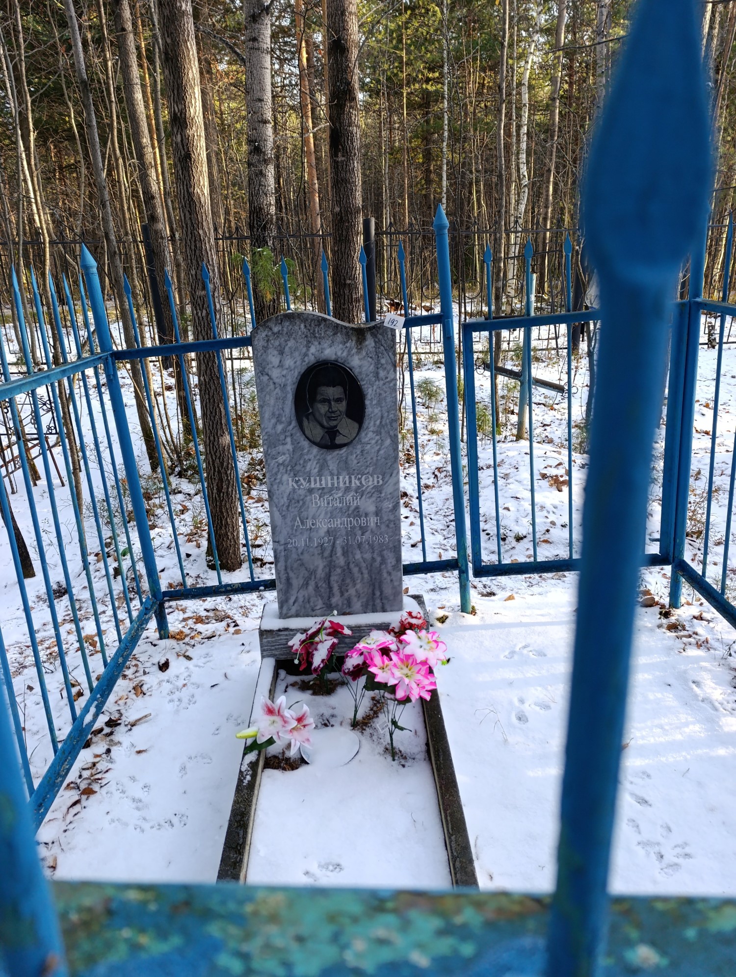 Кушников Виталий Александрович