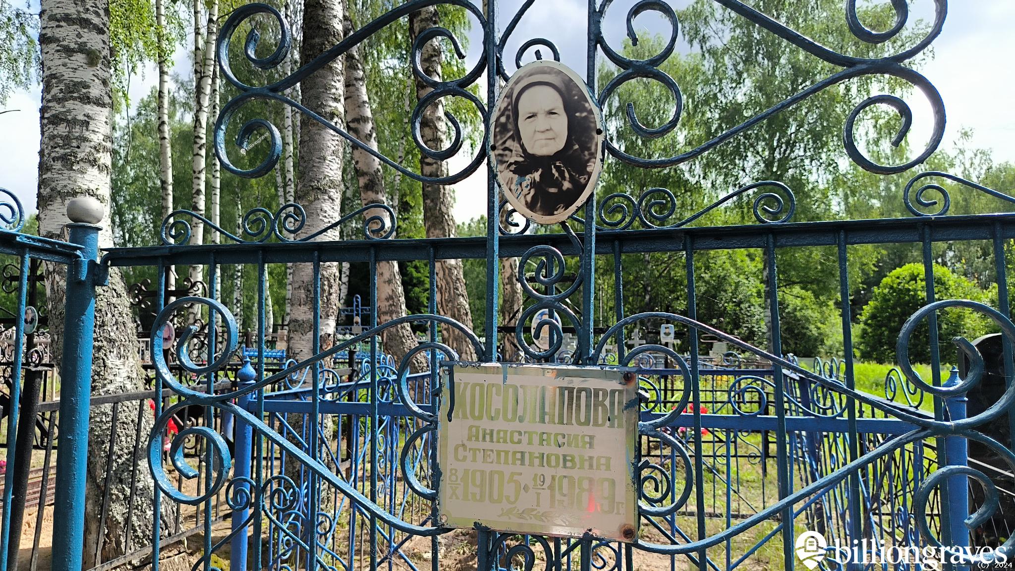 Косолапова Анастасия Степановна