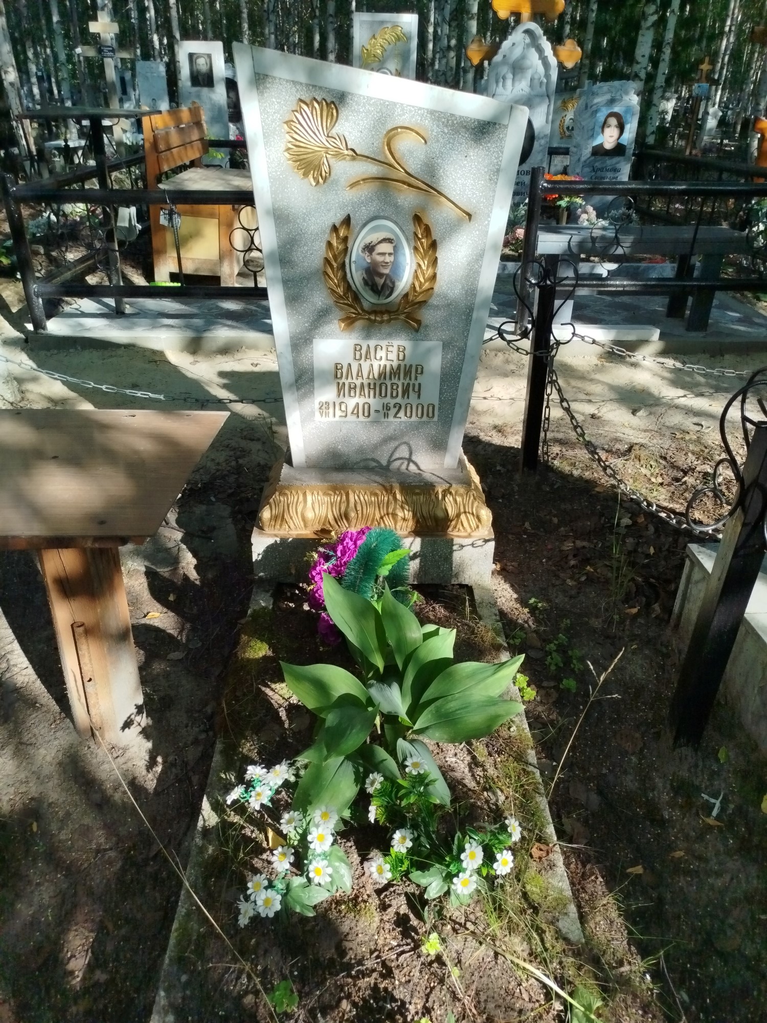 Васев Владимир Иванович
