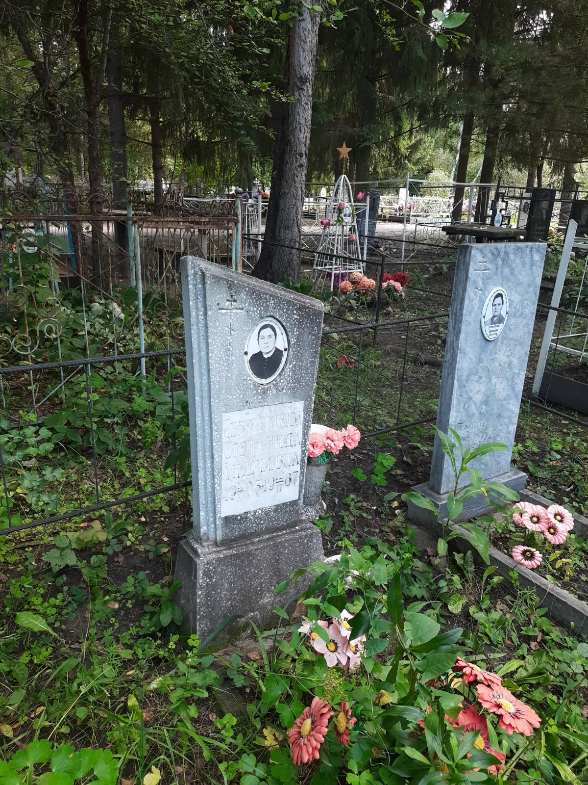 Девятерикова Степанида Андреевна