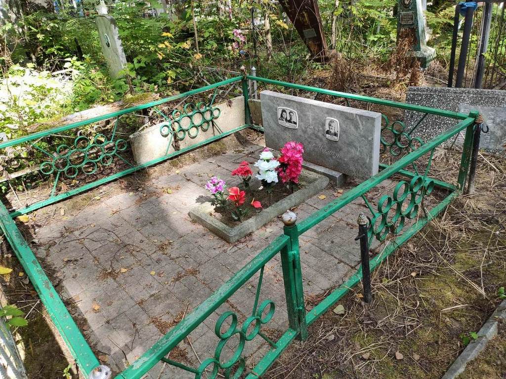 Петрук Александр Емельянович