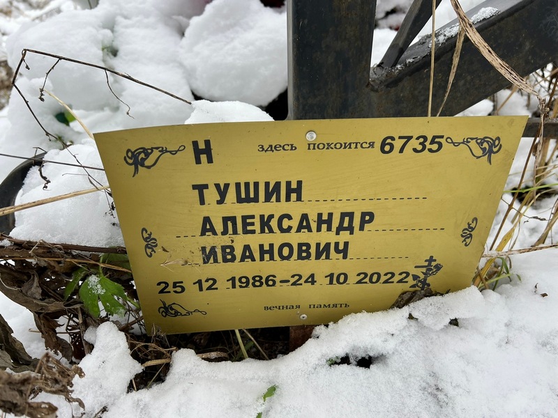 Тушин