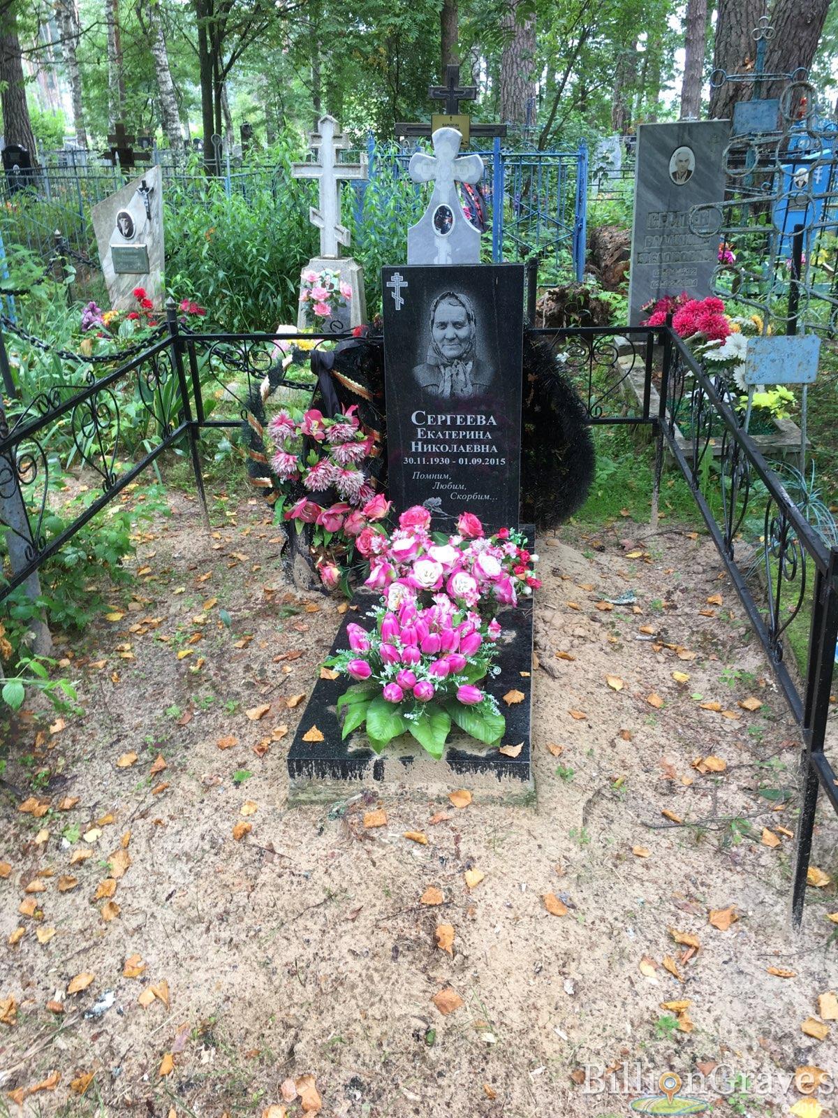 Сергеева Екатерина Николаевна