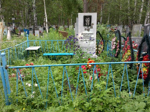 Добрынин Владимир Александрович