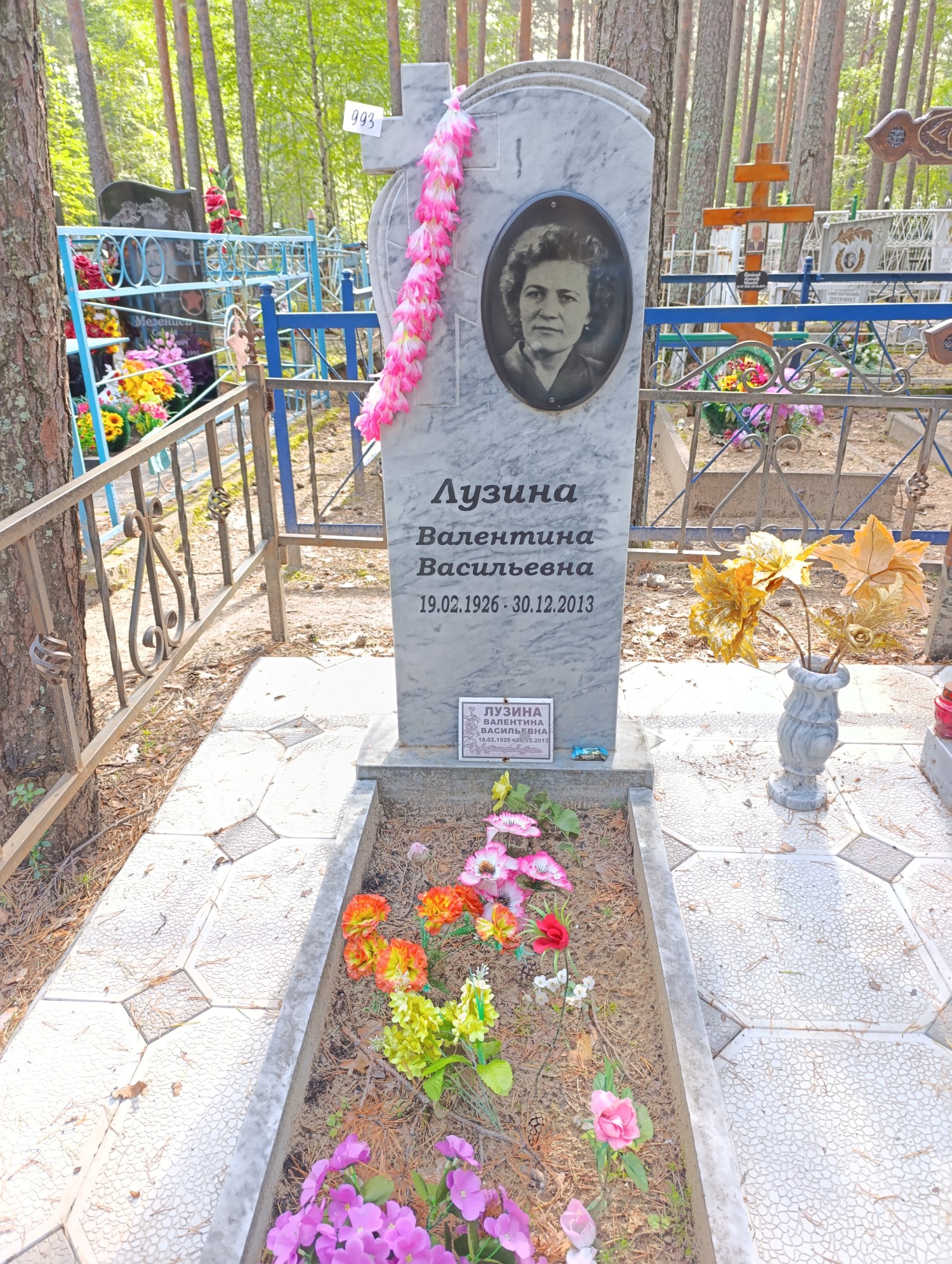 Лузина Валентина Васильевна