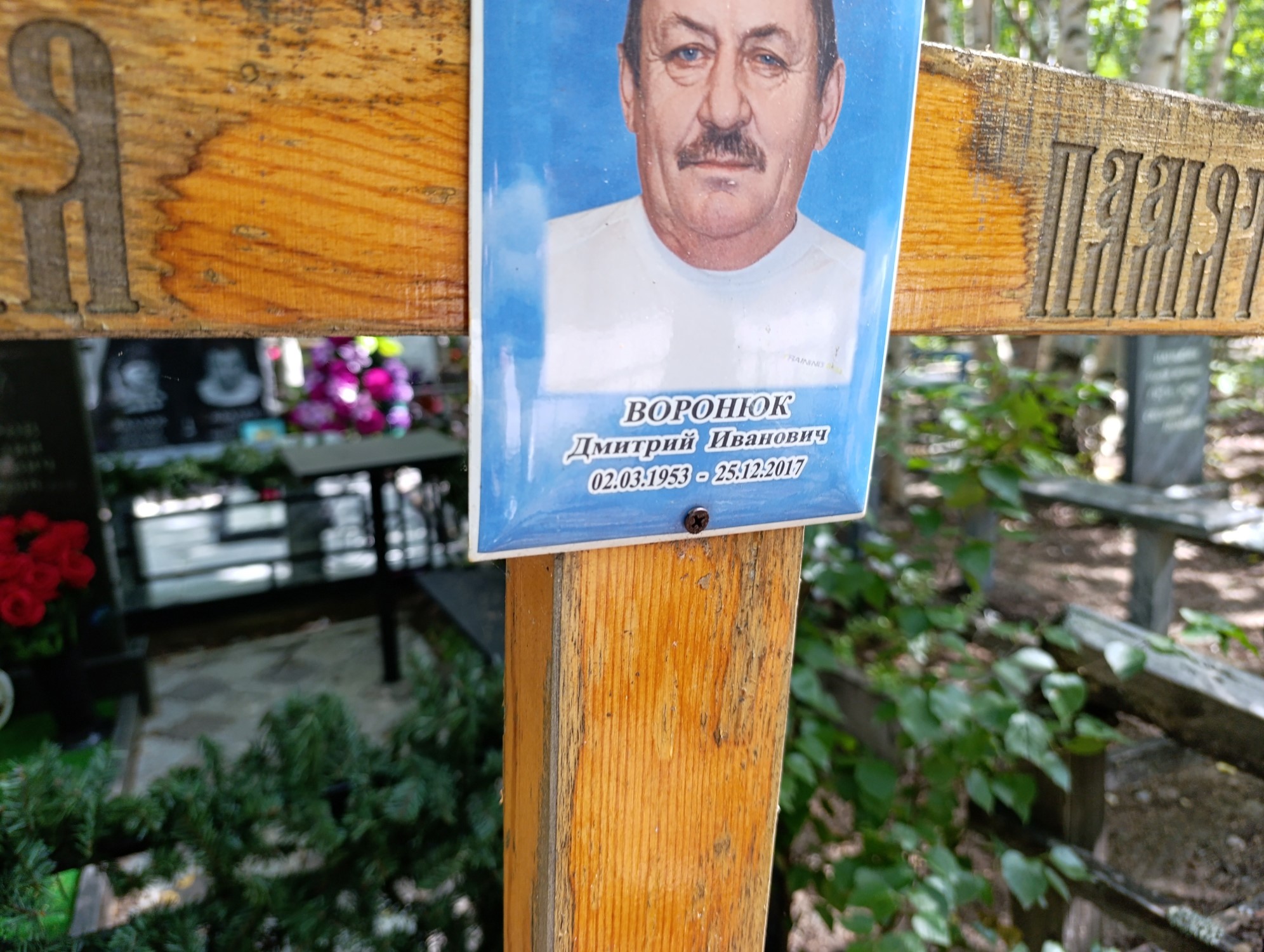 Воронюк Дмитрий Иванович