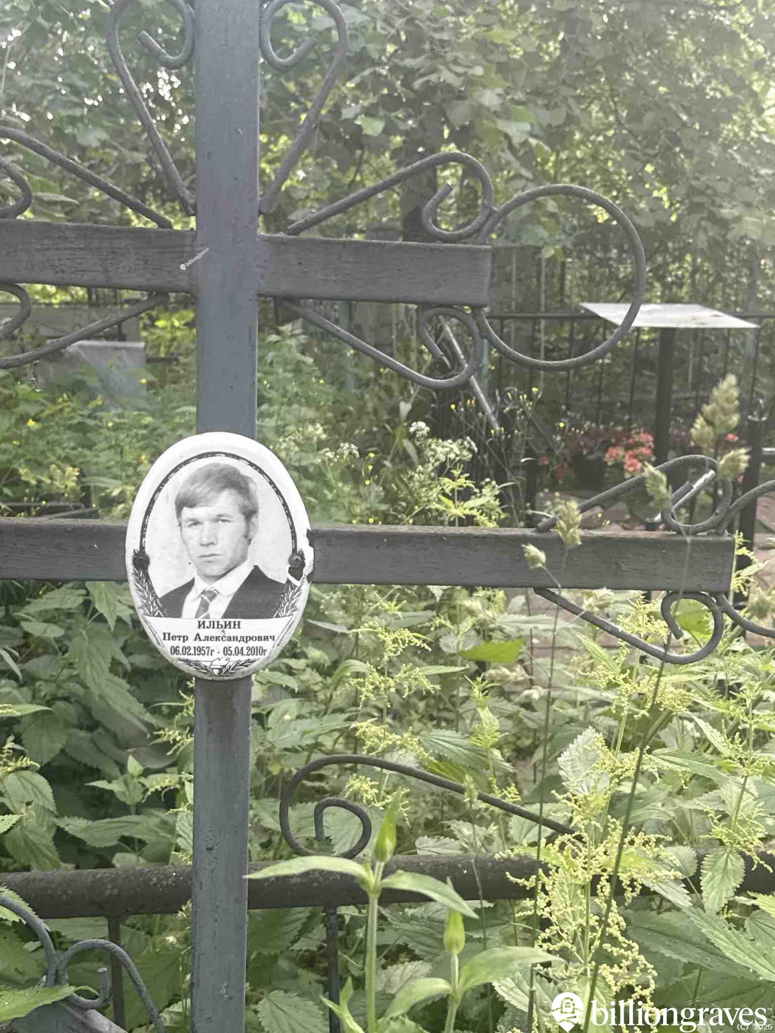 Ильин Петр Александрович
