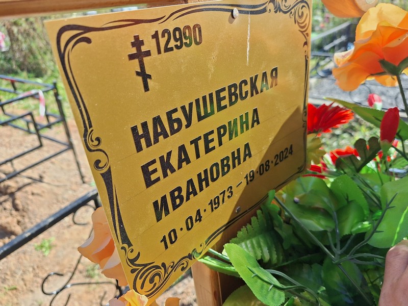 Набушевская