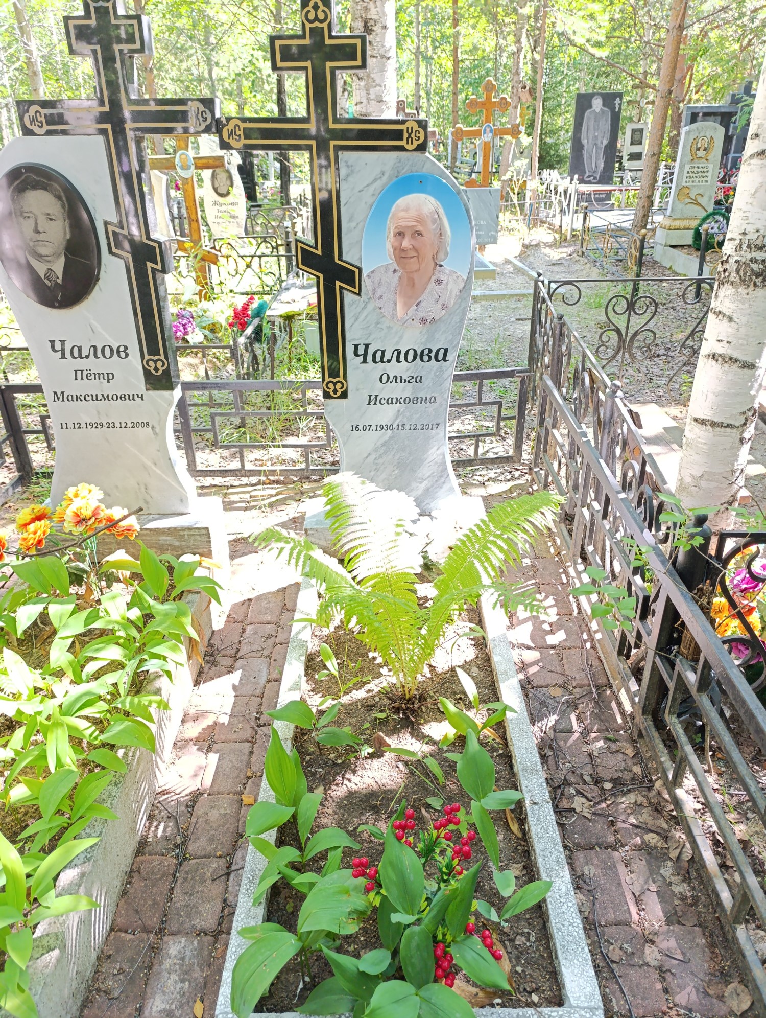 Чалова Ольга Исаковна