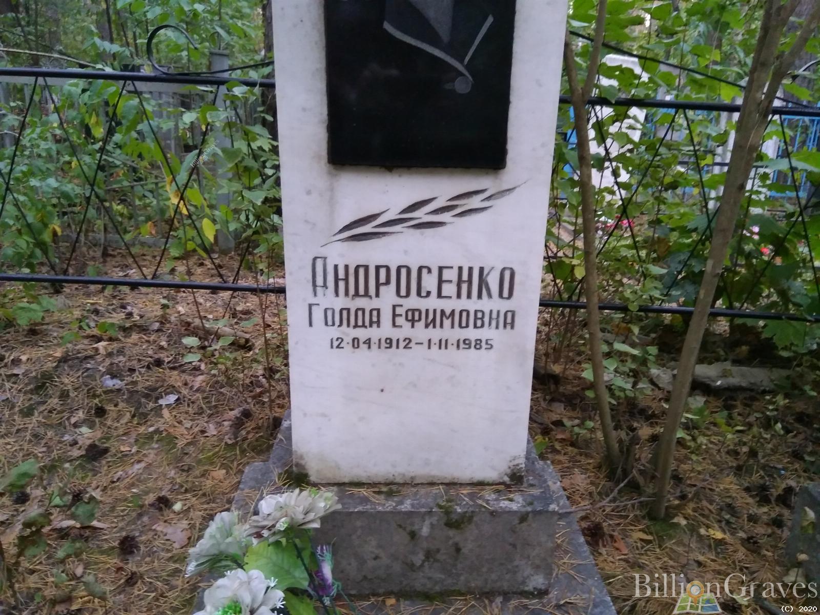 Андросенко Голда Ефимовна