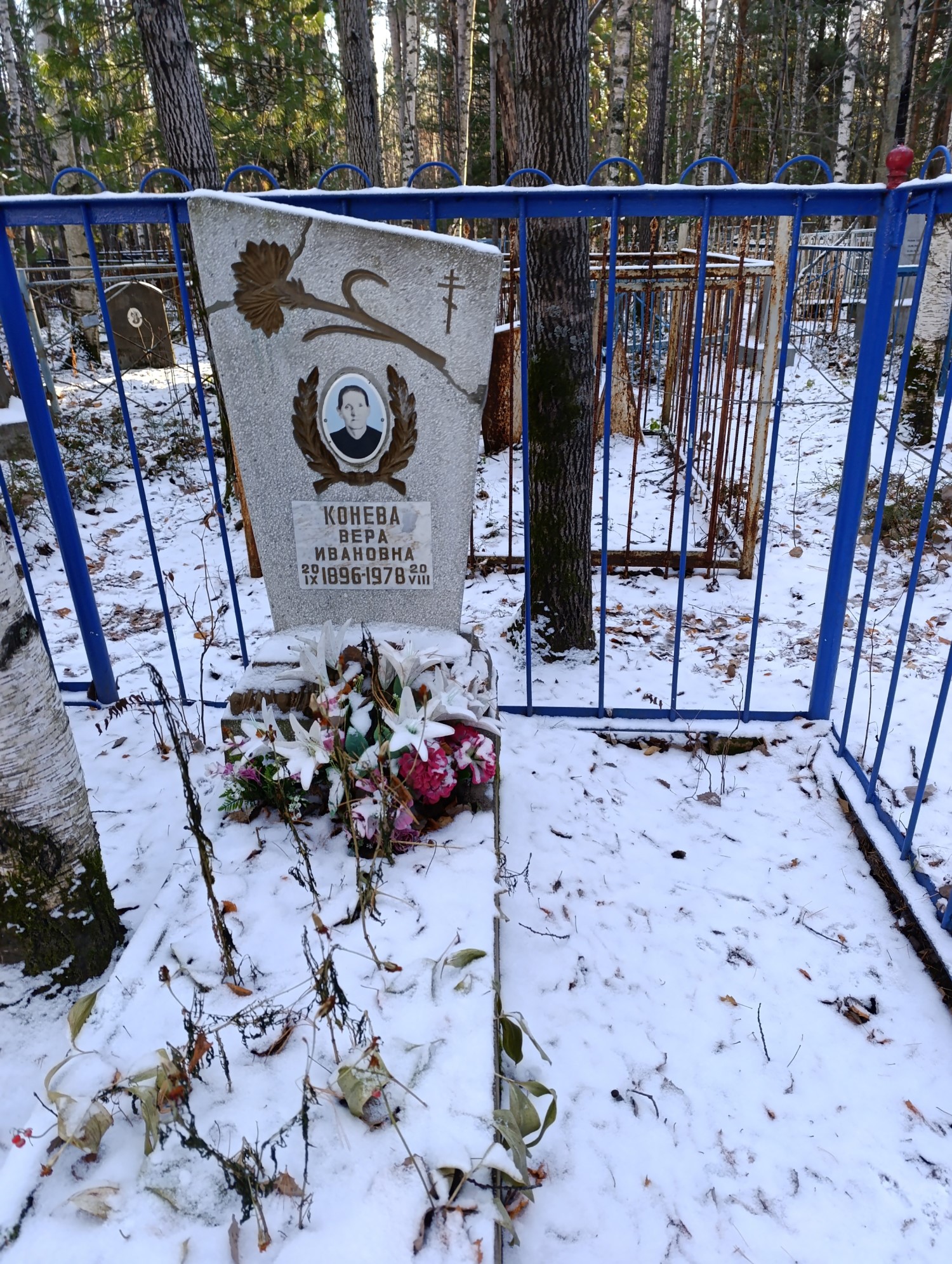 Конева Вера Ивановна