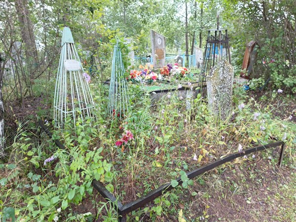 Лапина Наталья Алексеевна