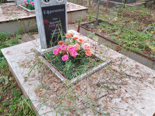 Ефремова Анна Васильевна