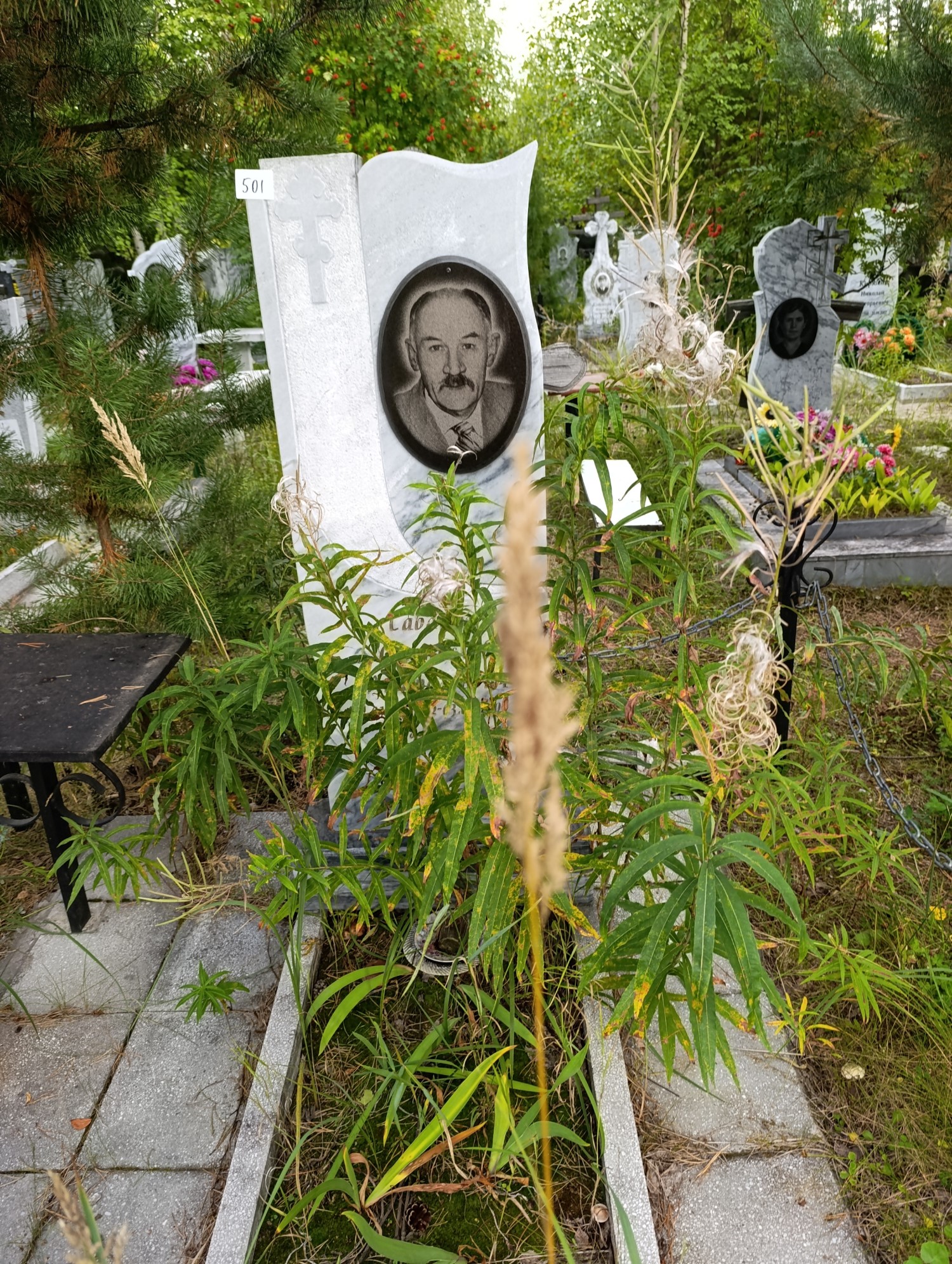 Сабанин Станислав Анатольевич