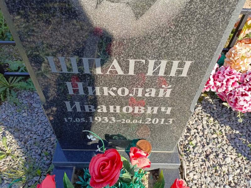 Шпагин