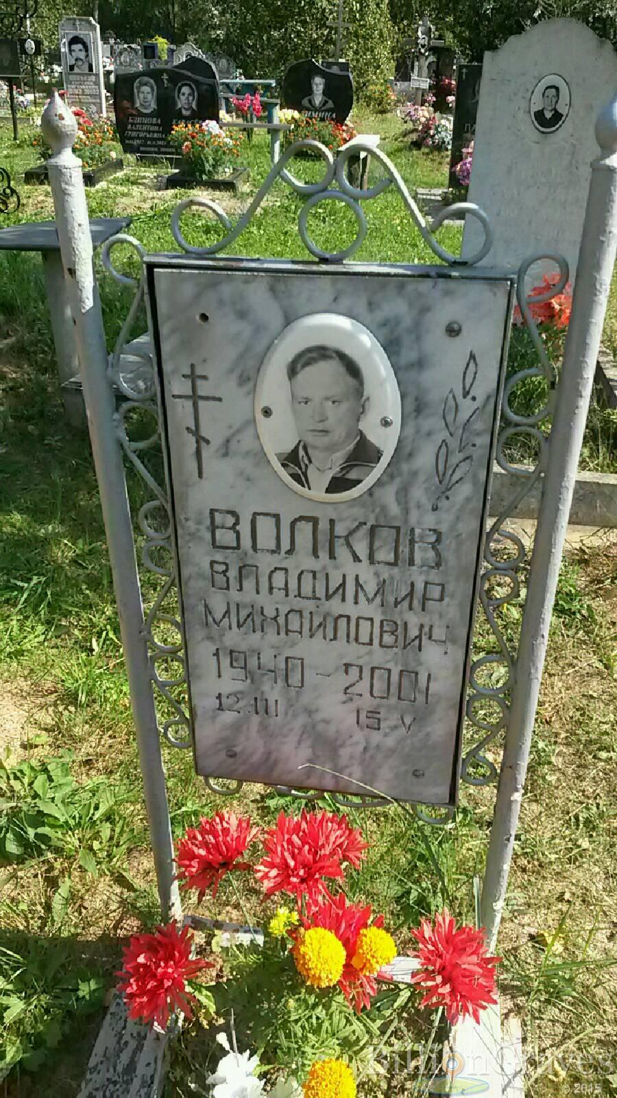 Волков Владимир Михайлович