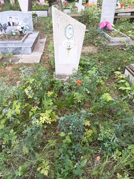 Ширяева Прасковья