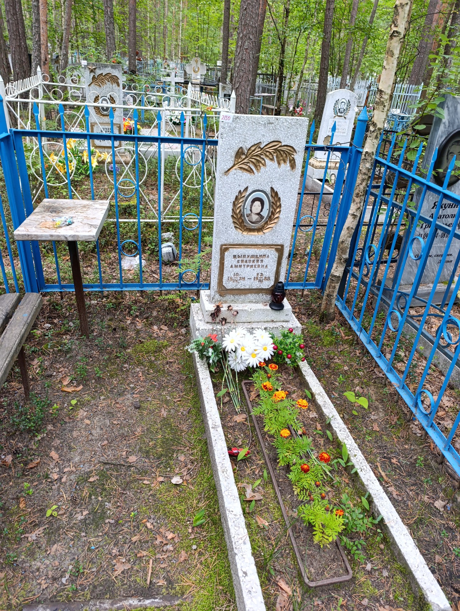 Цыпушкина Евдокия Дмитриевна