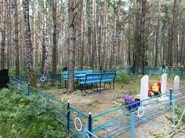 Елфимова Анастасия Григорьевна