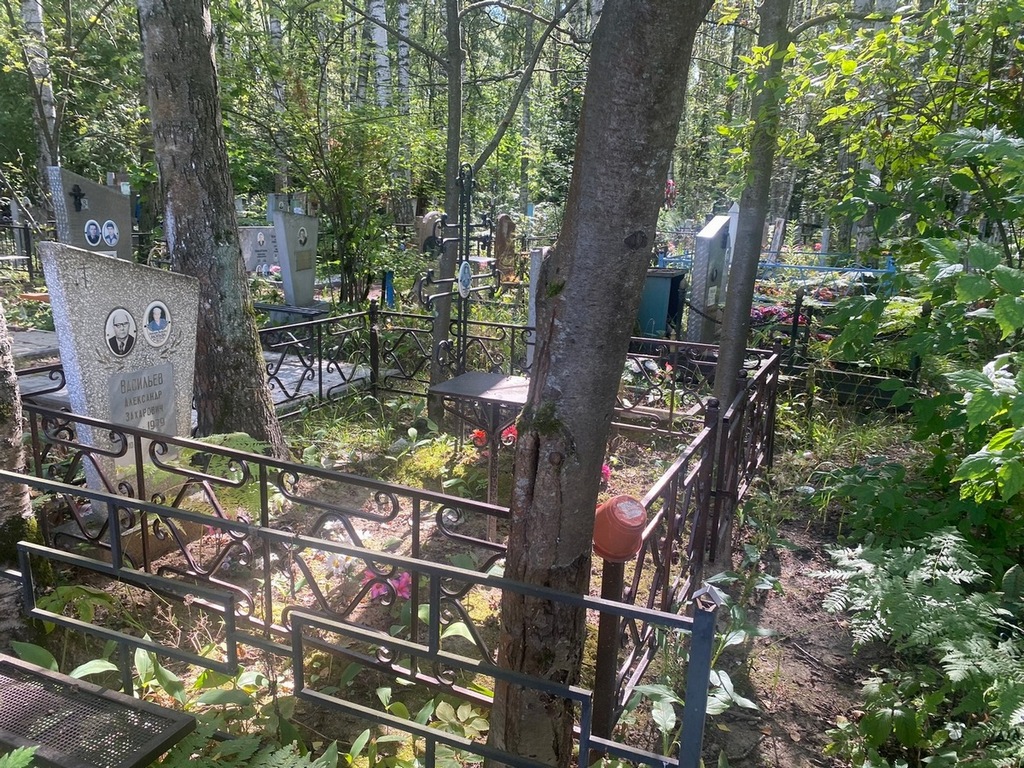 Выборнов Владимир Александрович