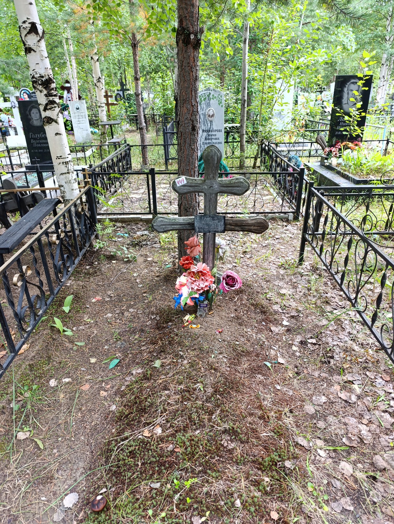 Ериженко Георгий Дмитриевич