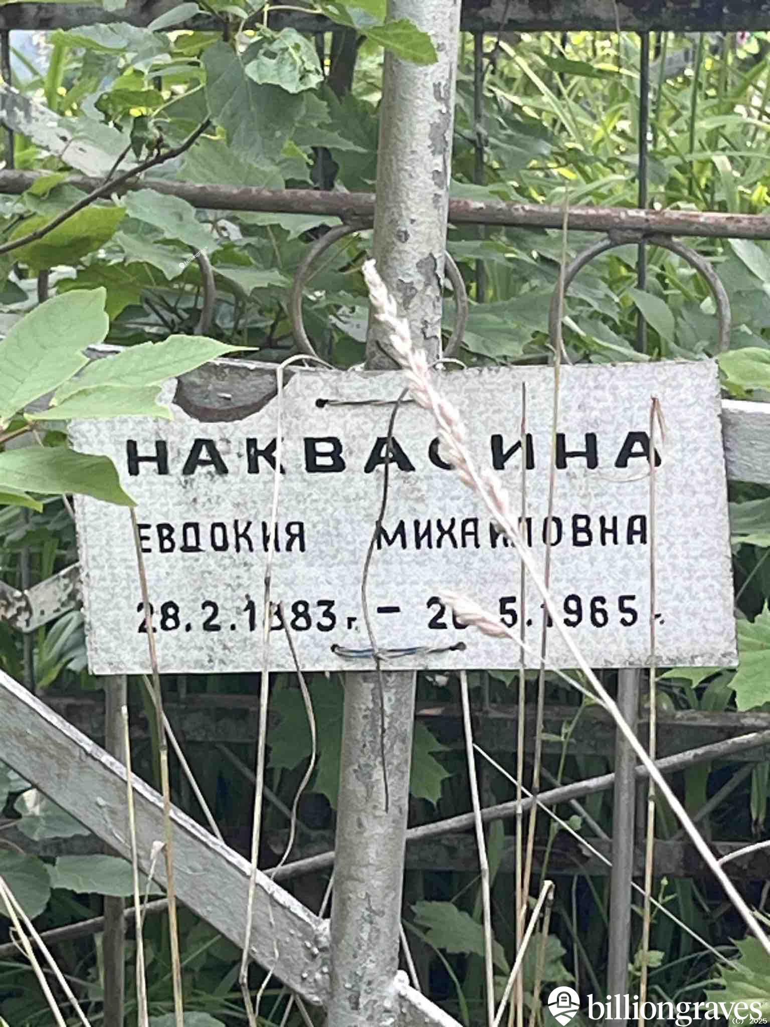 Наквасина Евдокия Михайловна