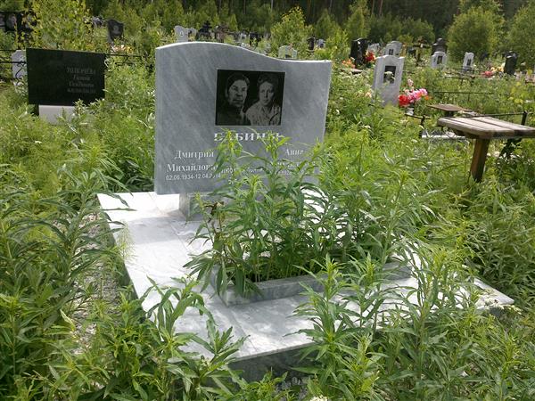 Бабин Дмитрий Михайлович