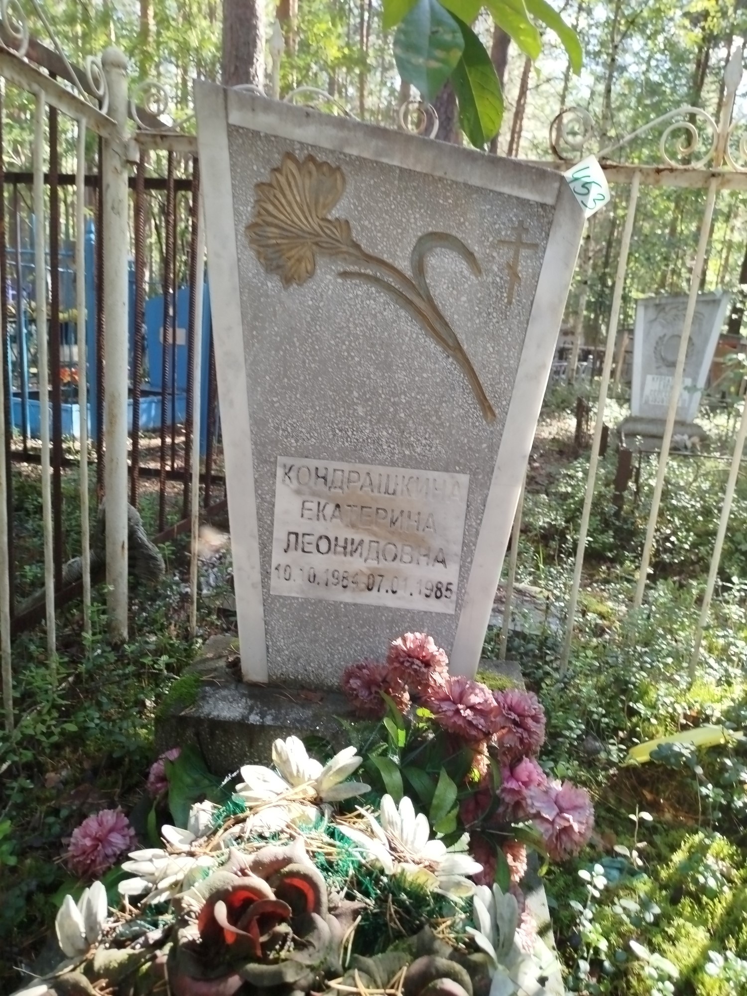 Кондрашкина Екатерина Леонидовна