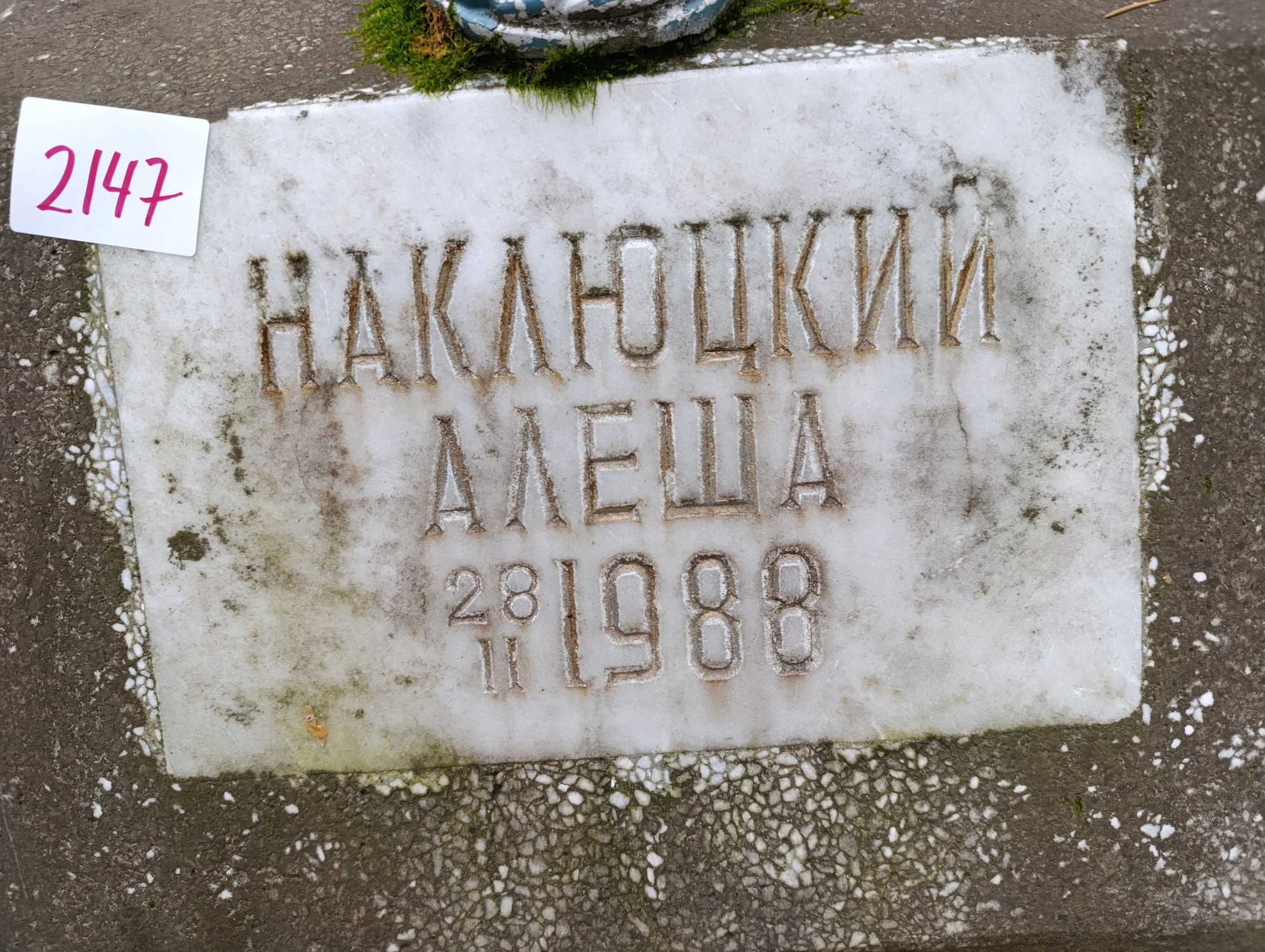 Наклюцкий Алеша