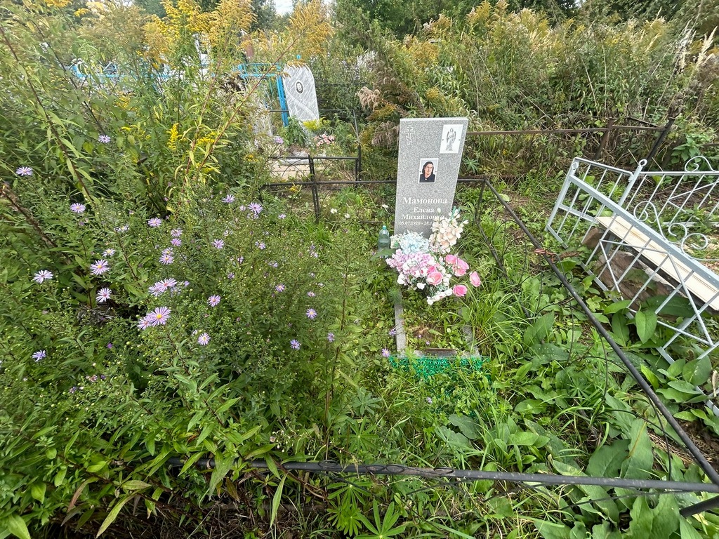 Мамонова Елена Михайловна