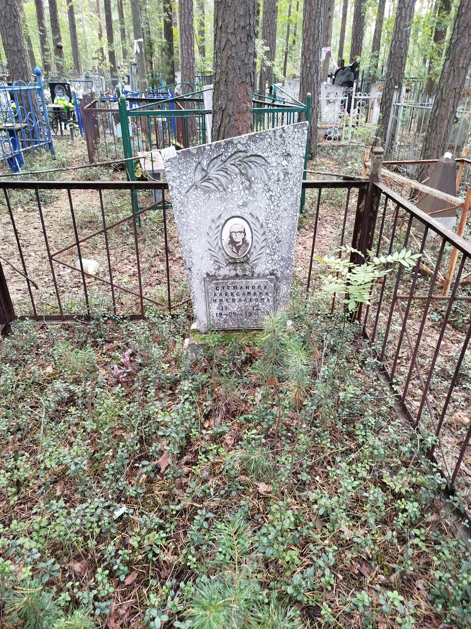 Степанова Александра Николаевна