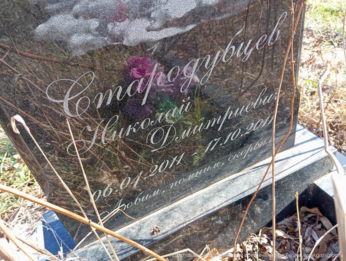 Стародубцев Николай Дмитриевич