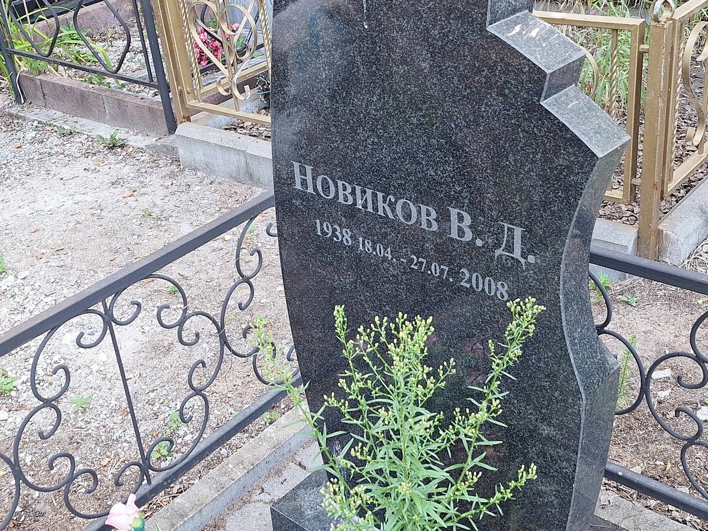 В Новиков Д