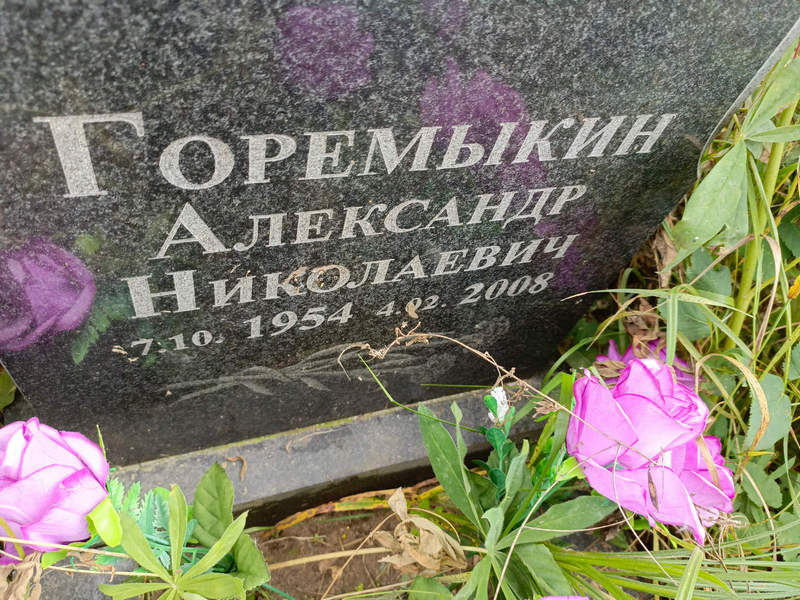 Горемыкин