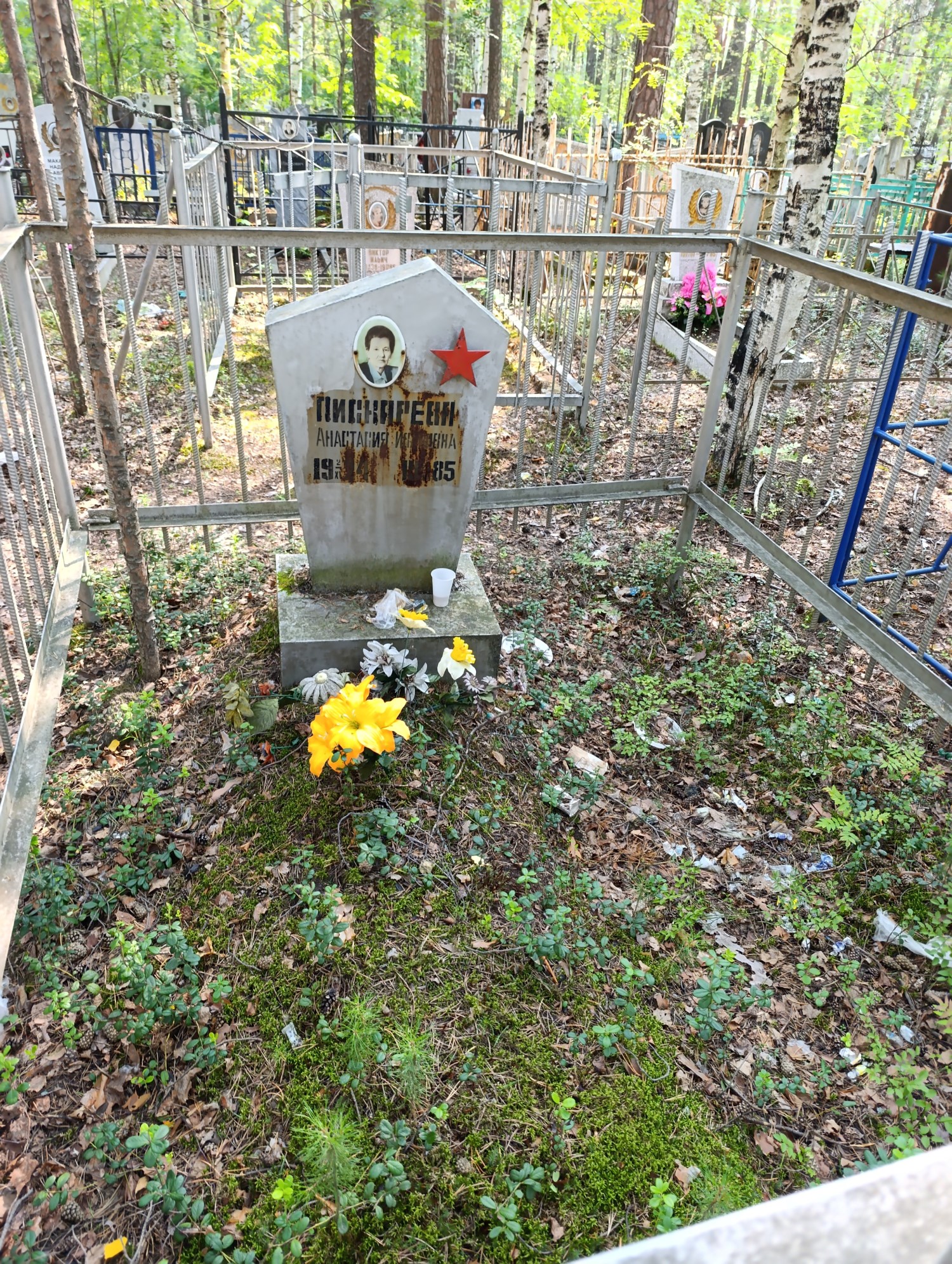 Пискарева Анастасия Ивановна