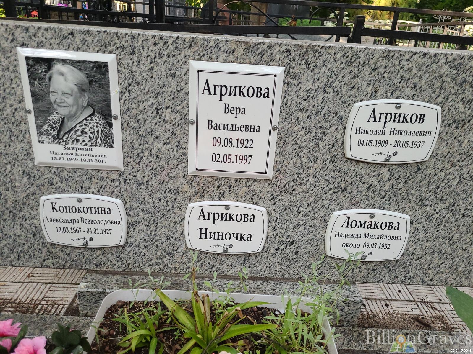 Агрикова Вера Васильевна
