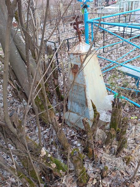 Богомолова Наталья Филипповна