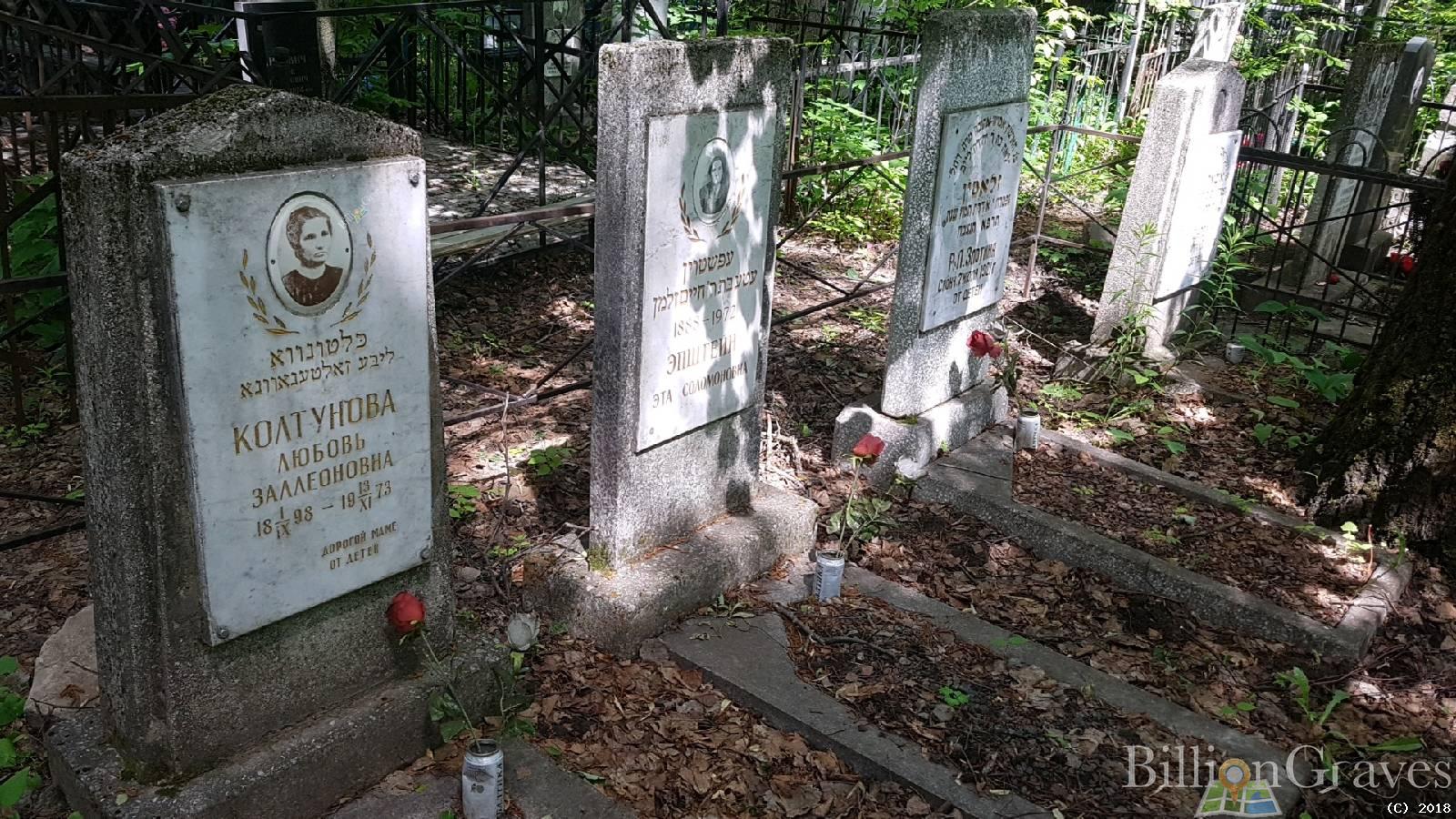 Колтунова Любовь Заллеоновна