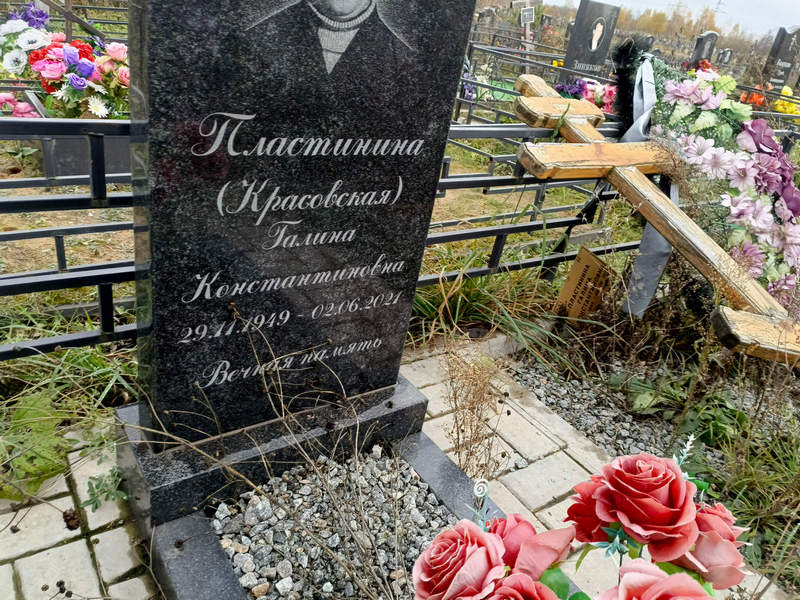 Пластинина
