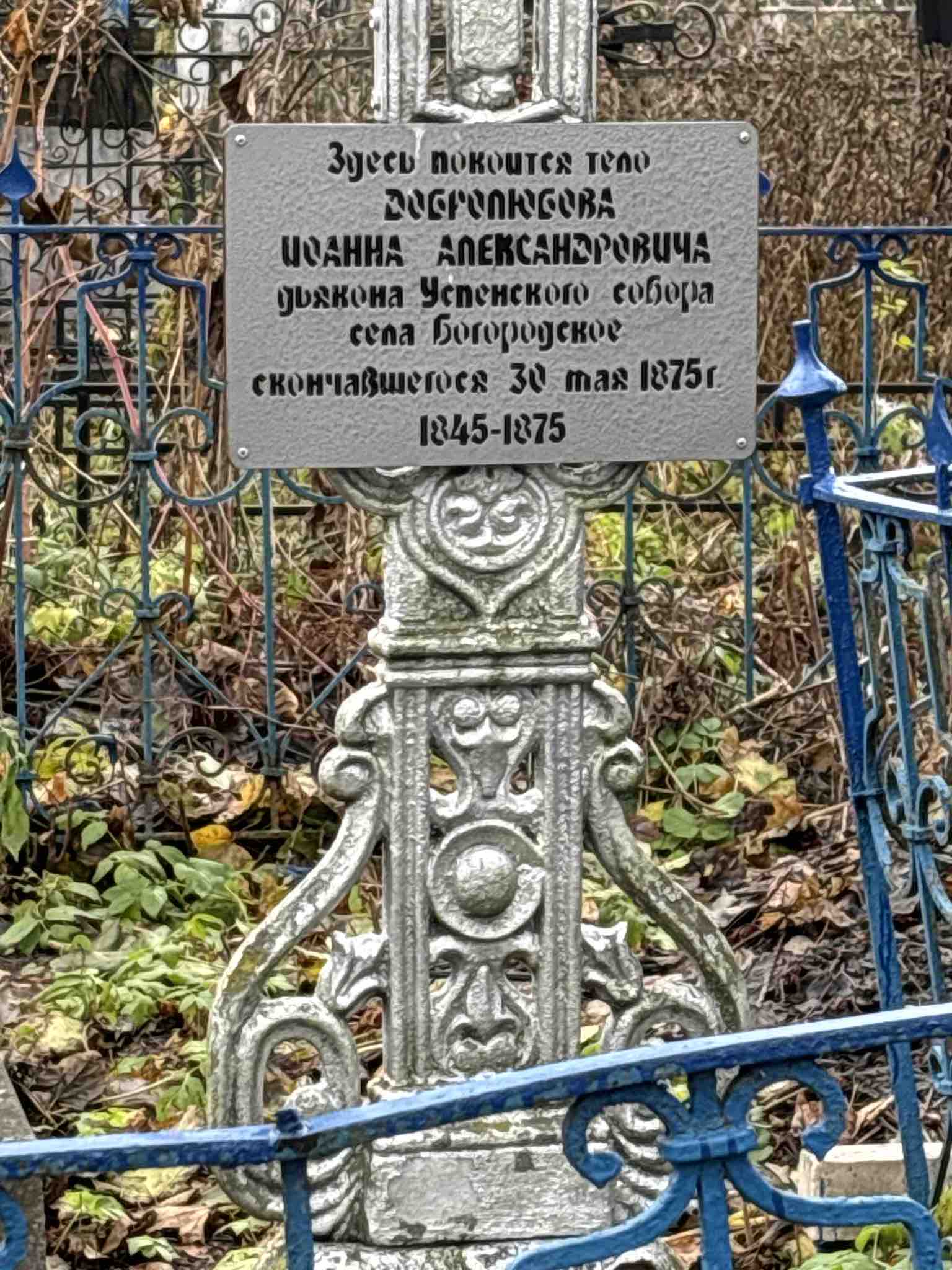 Добролюбов Иоанн Александрович