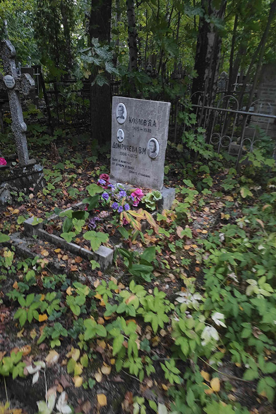 Козлов Владимир Яковлевич