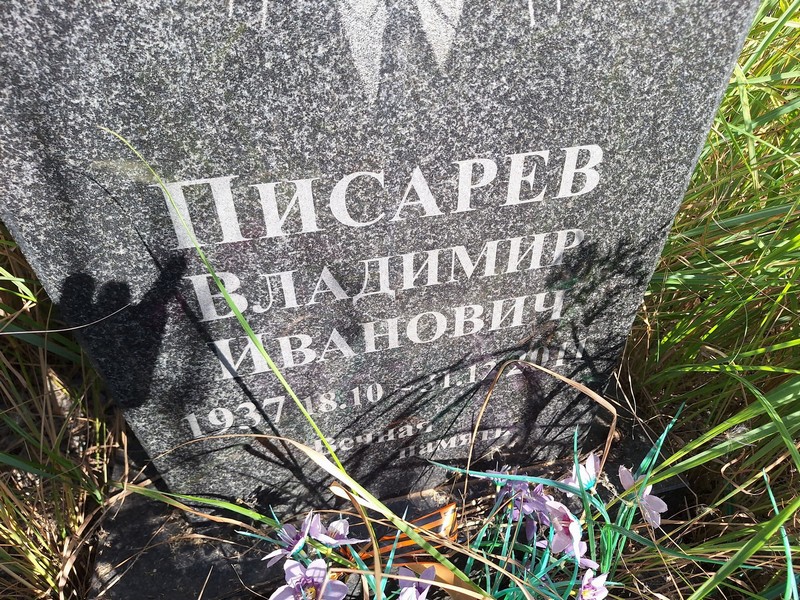 Писарев