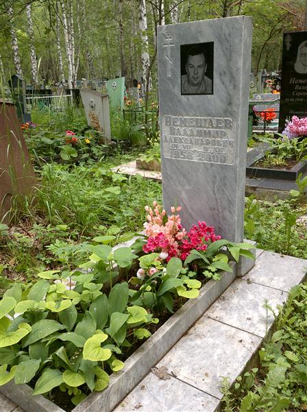 Немешаев Владимир Александрович