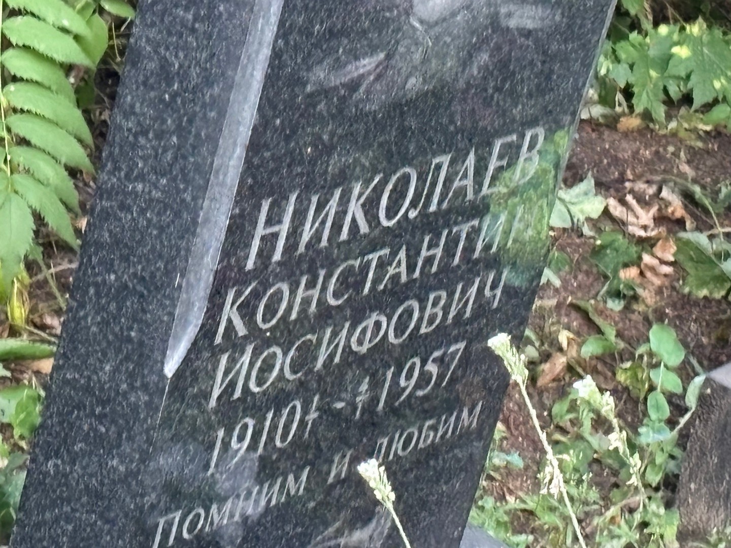 Николаев