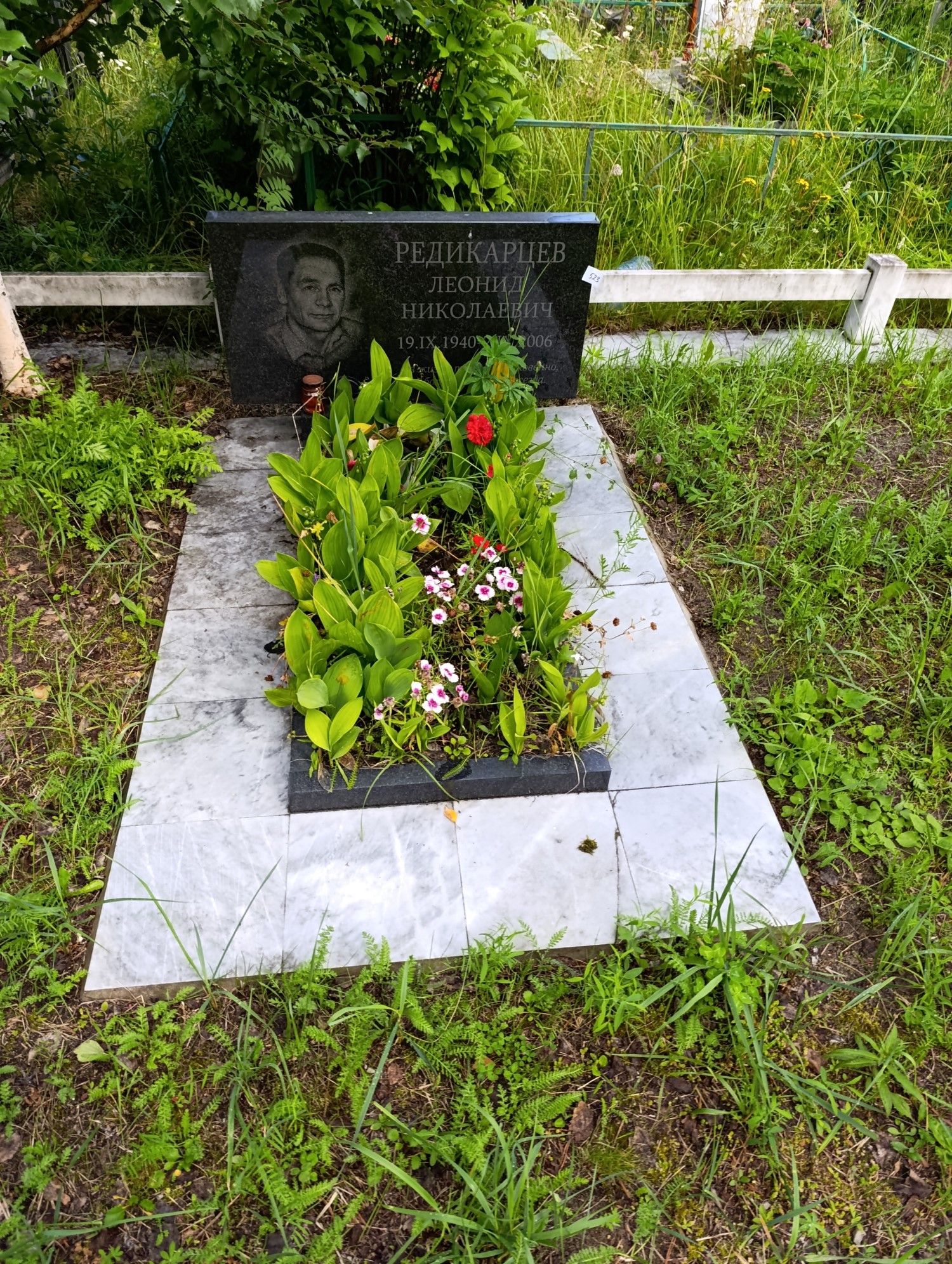 Редикарцев Леонид Николаевич