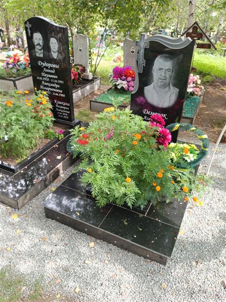 Дудорова Александра