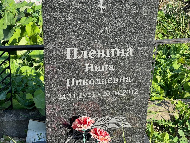 Плевина