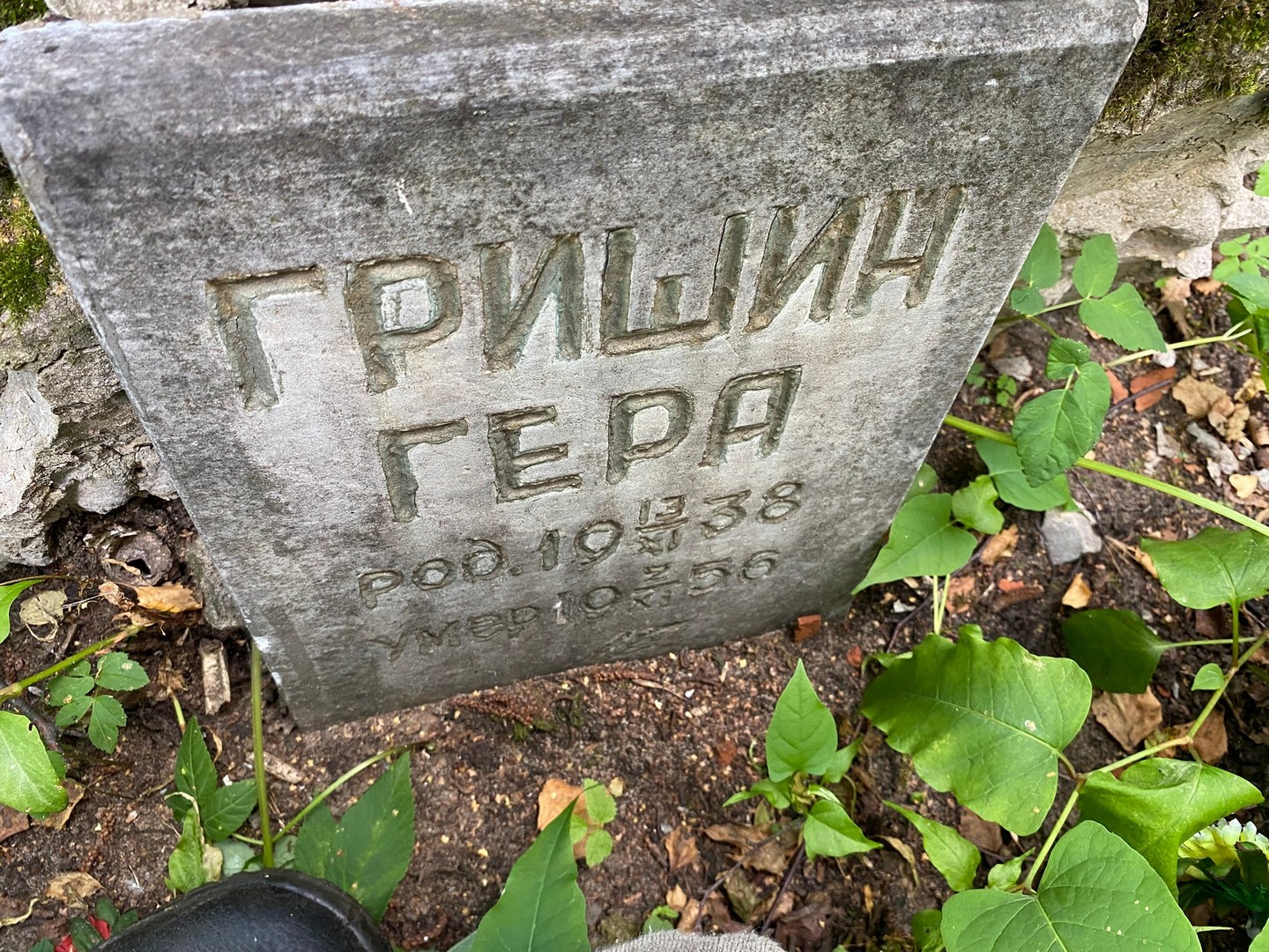 Гера Гришин