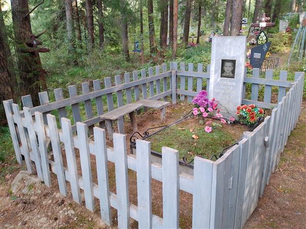 Стрелков Андрей Владимирович