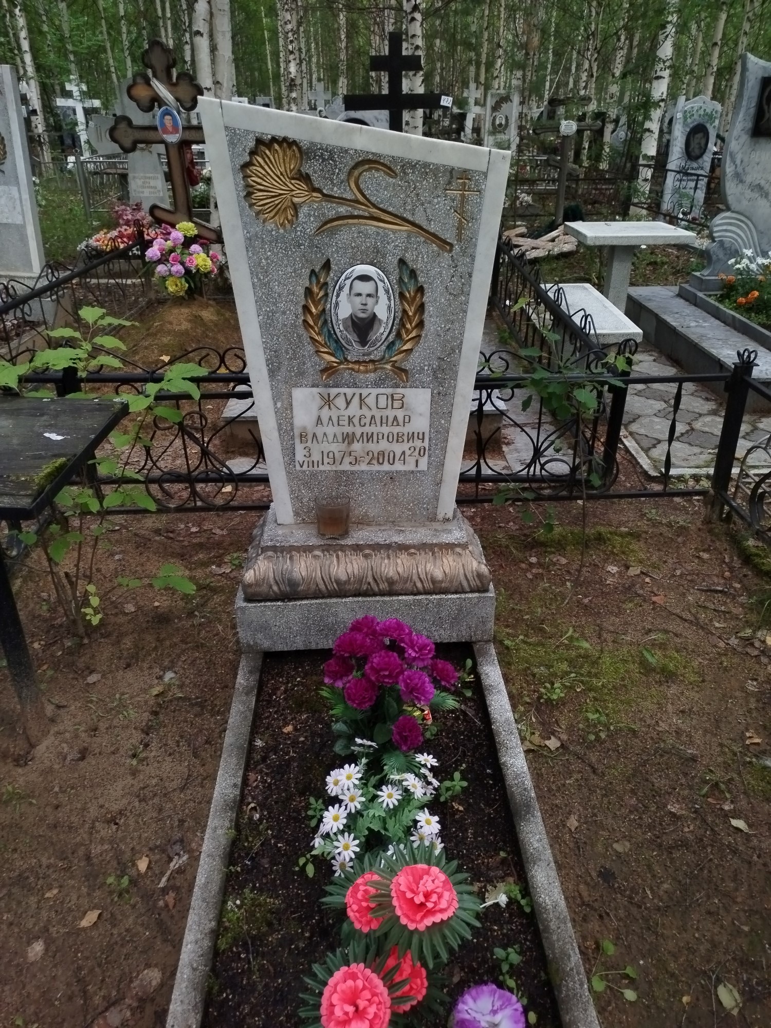Жуков Александр Владимирович